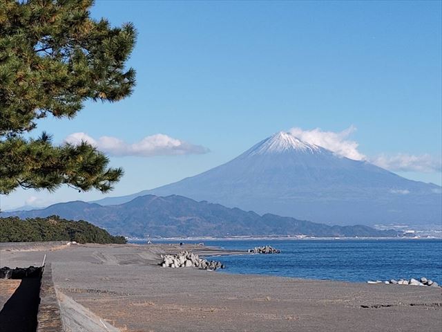A view recognized as part of the UNESCO World Heritage Site, Cultural Landscape of Mt. Fuji, pine trees and the sea
