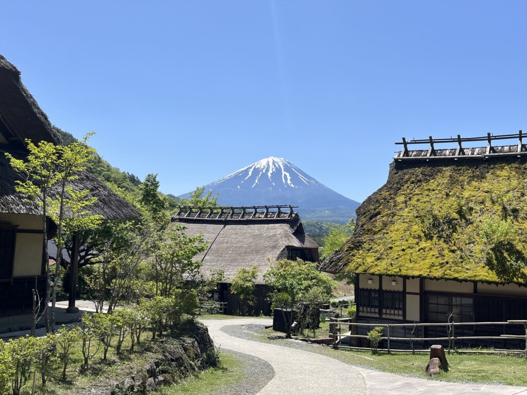 Snow-capped Mt. Fuji seen behind a traditional thatched-roof house in Saiko Iyashi no Sato.

