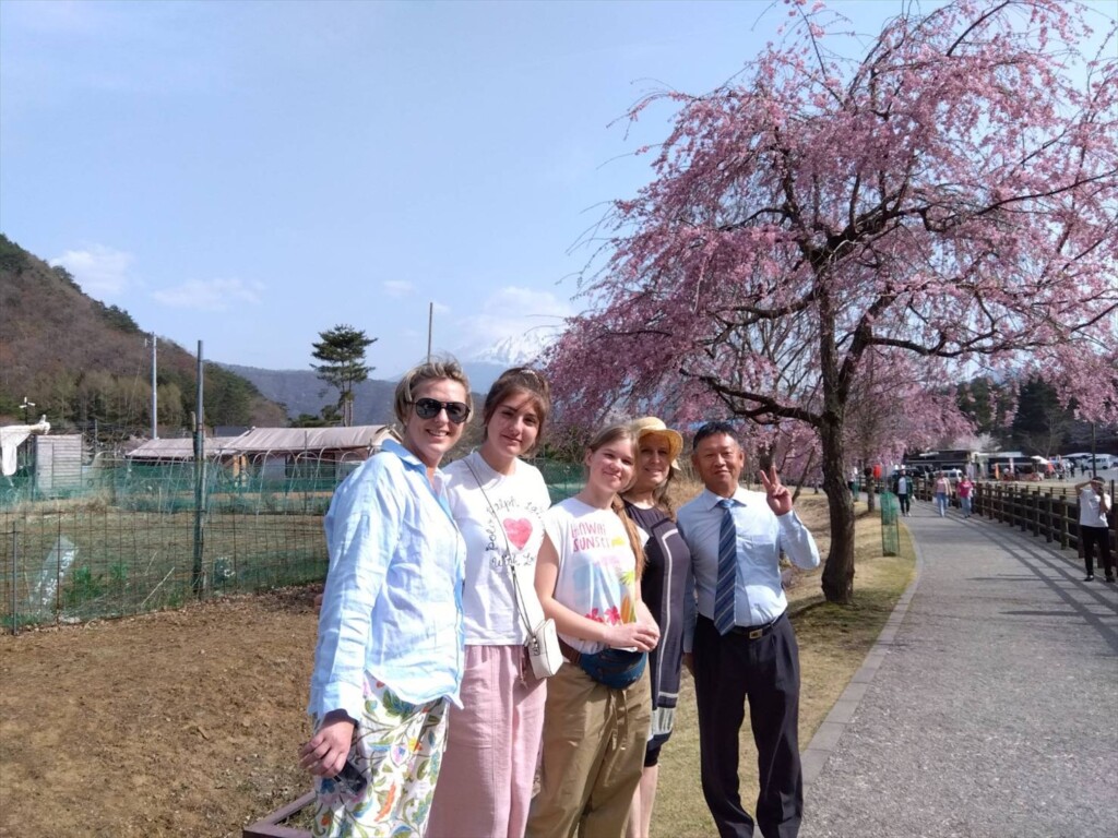 Four foreign tourists and local driver posing under cherry blossoms in Saiko Iyashi no Sato.