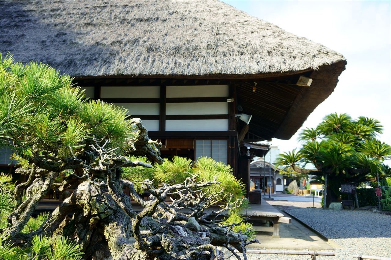 3Hours Ryugeji-Temple, Tea Service, NIhondaira